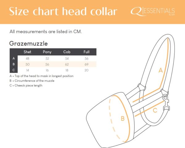 Capture d’écran 2025-09-19 140222 Panier de jeune attachable QHP