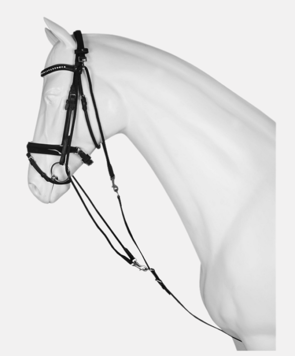 Fond couleur site - 2026-01-26T133250.983 Gogue en cuir Horka