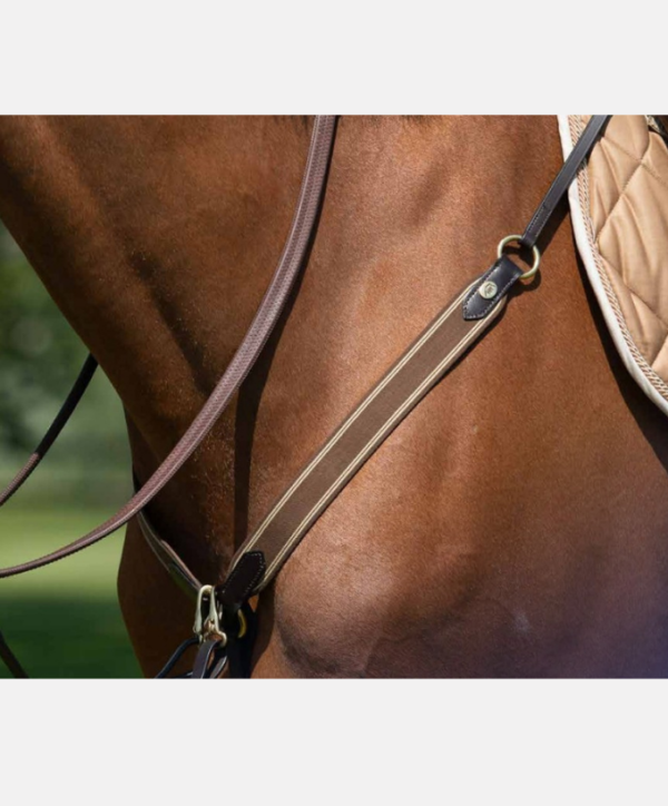 Collier de chasse élastique HFI