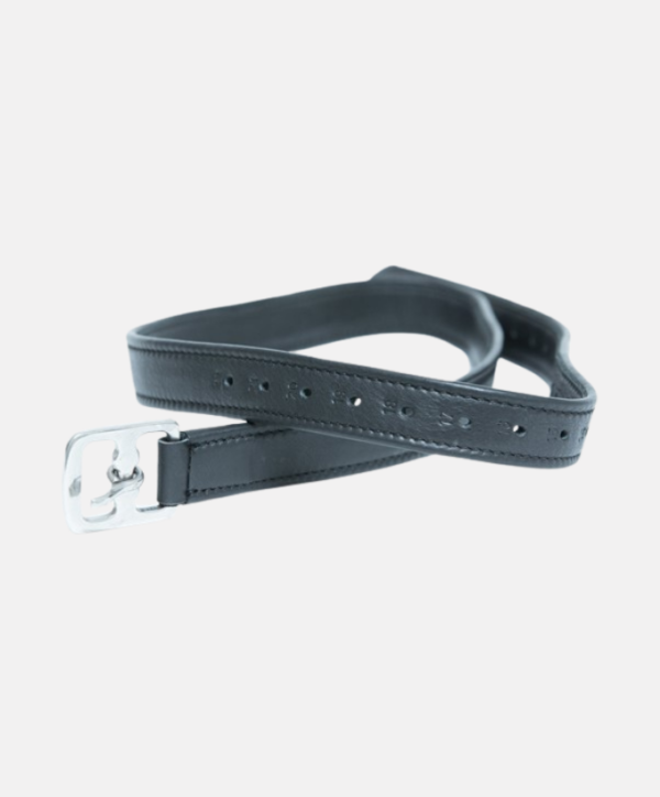 Fond couleur site - 2026-01-26T133956.063 Etrivières cuir HFI