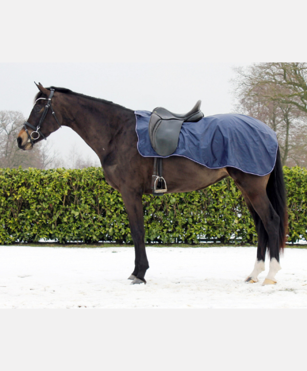 Fond couleur site - 2026-01-26T135135.066 Couvre reins avec doublure polaire QHP