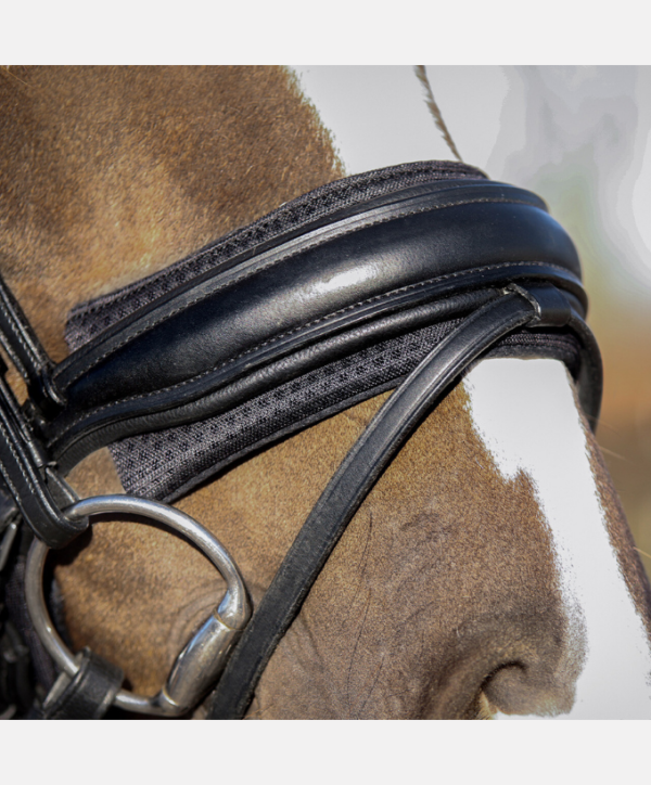 Protection de muserolle Air Mesh QHP