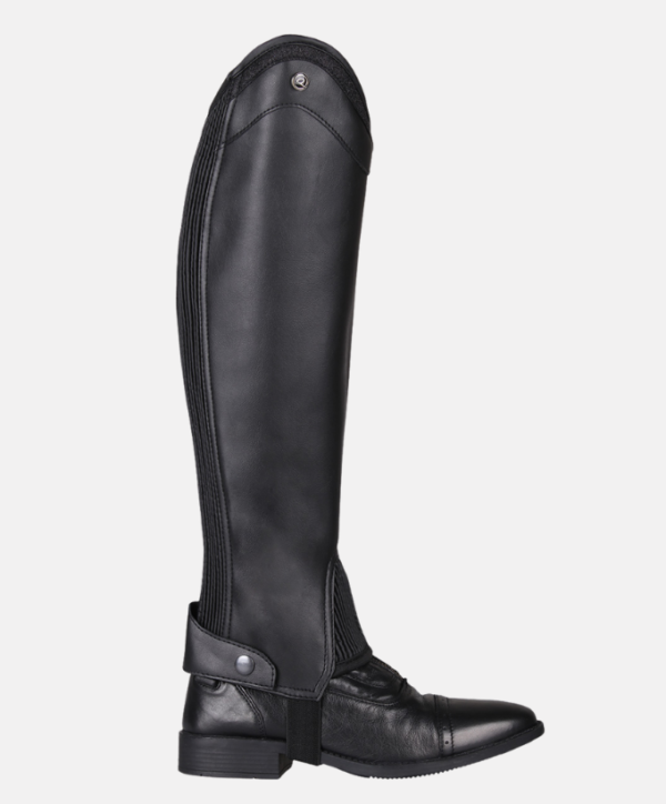 Fond couleur site - 2026-01-26T143423.187 Chaps Shimmer QHP