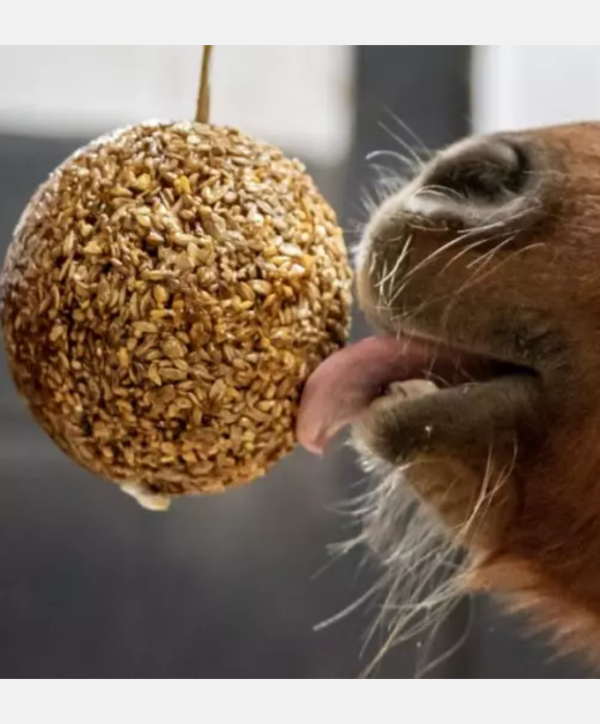 Fond couleur site - 2026-01-26T145208.173 Likit boule Granola