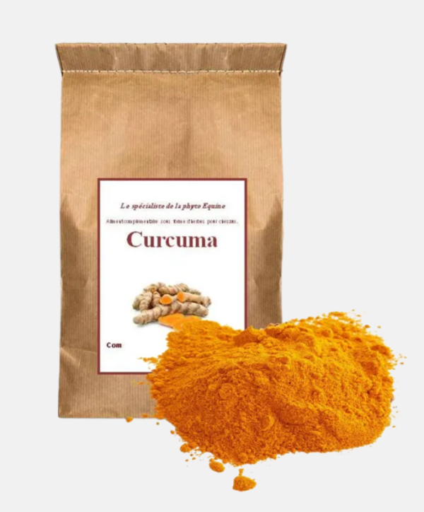 Curcuma