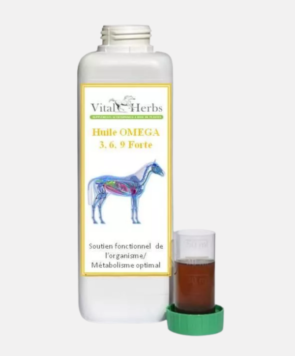 Huile oméga 3,6,9