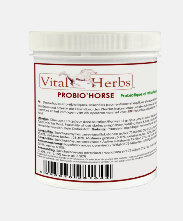 Fond couleur site - 2026-01-27T113228.218 Probio'Horse