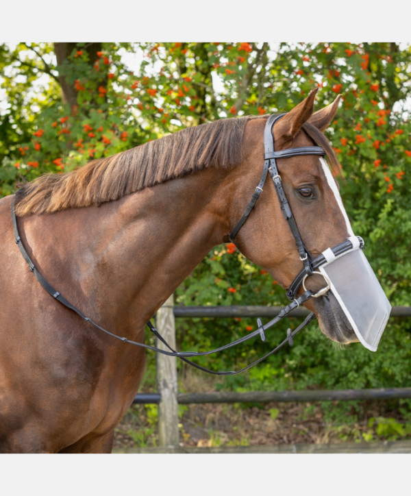 Filet de nez anti UV QHP