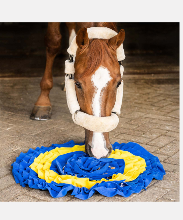 Tapis de fouille QHP