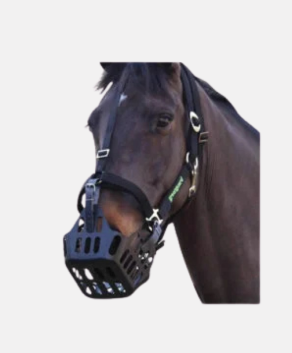 Panier anti-fourbure Greenguard