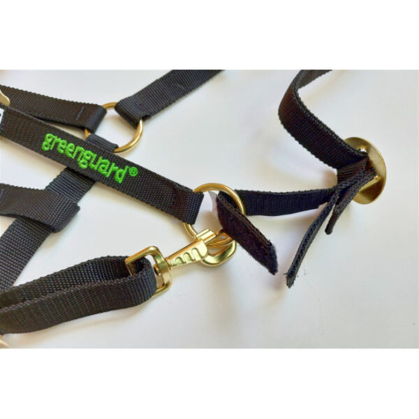 Licol avec velcro Greenguard