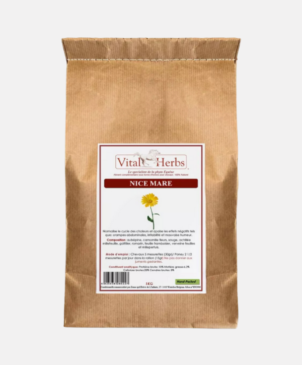 Nice and mare - Cycle chaleur