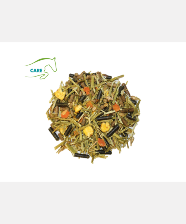 Fiber Star + carottes