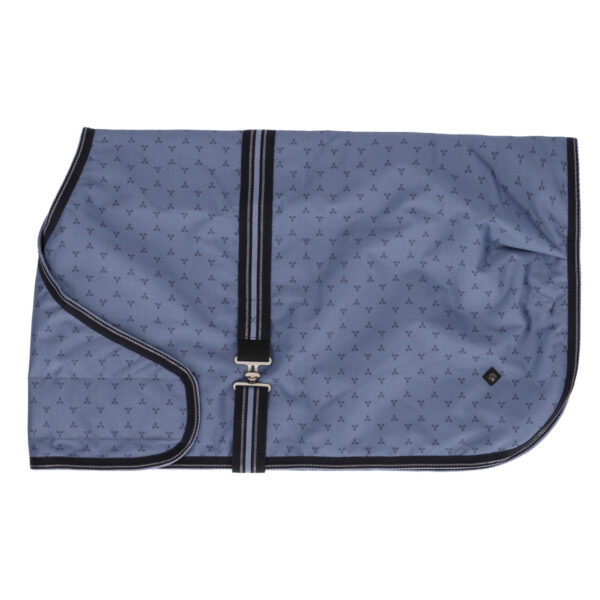 Couverture poulain QHP