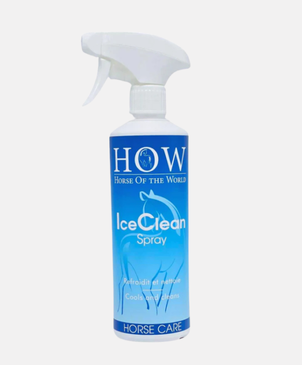 Spray Ice Clean