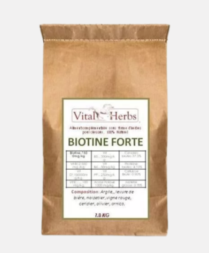 Biotin Forte / MSM